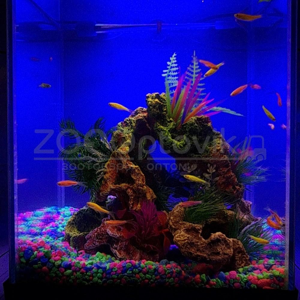 AQUA Аквариум Куб Aqua Glo на 20л. день/ночь с рыбками данио GloFish Reff - фото 8 - id-p162488120