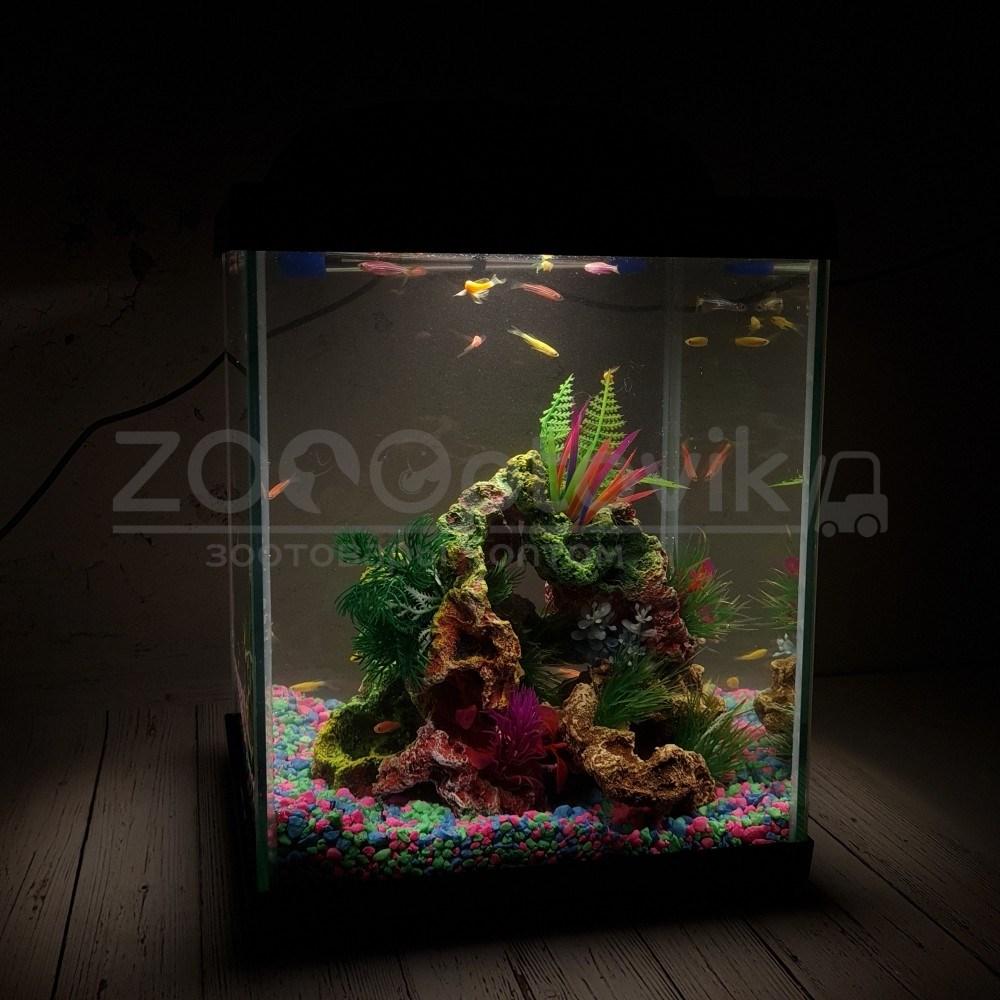 AQUA Аквариум Куб Aqua Glo на 20л. день/ночь с рыбками данио GloFish Reff - фото 9 - id-p162488120