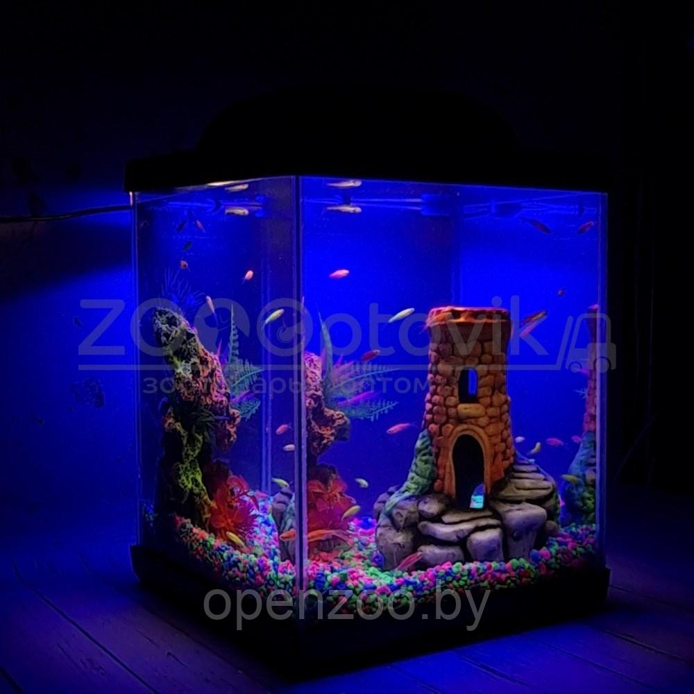 AQUA Аквариум Куб Aqua Glo на 20л. день/ночь с рыбками данио GloFish