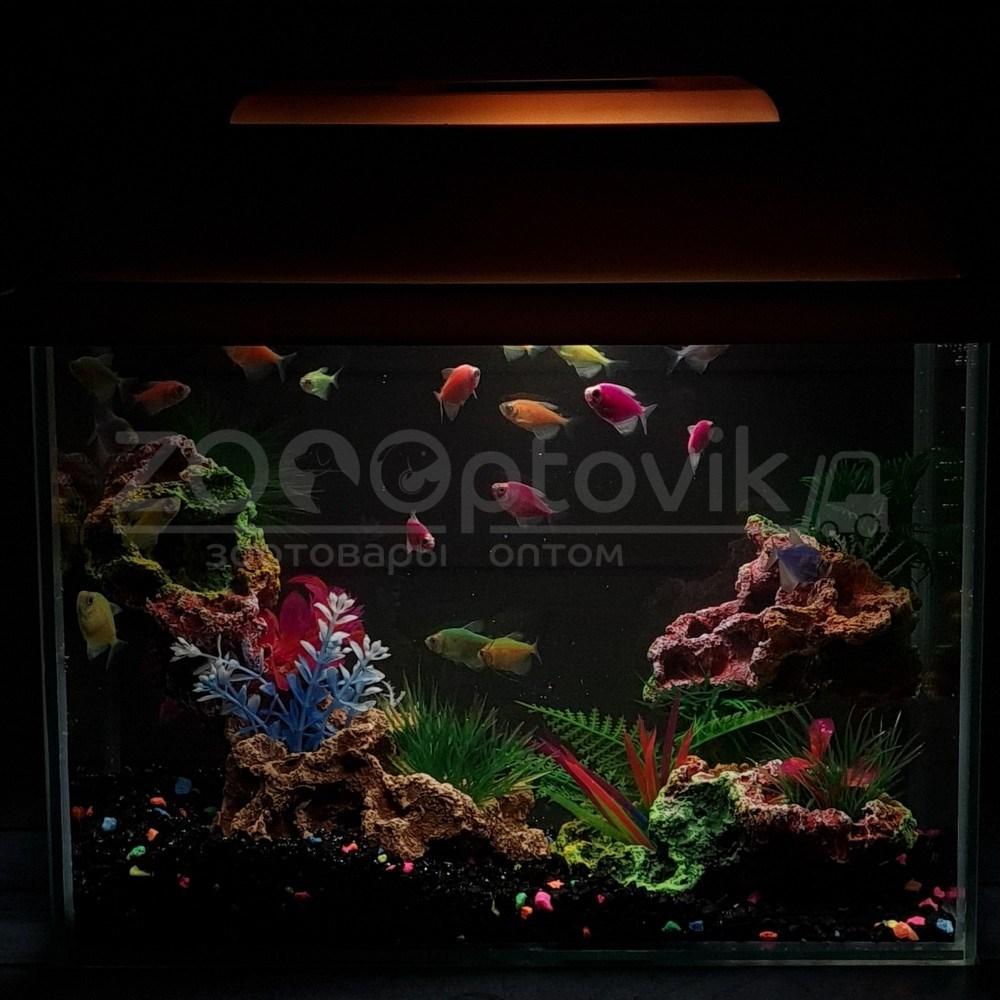 AquaGold Аквариум Aqua Glo прямоугольник на 10л. день/ночь с рыбками тернеция GloFish - фото 2 - id-p162488122