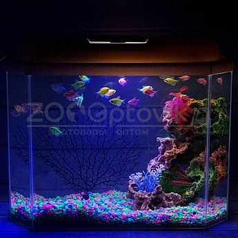 AquaGold Аквариум Aqua Glo панорама на 30л. день/ночь с рыбками тернеция GloFish Reff