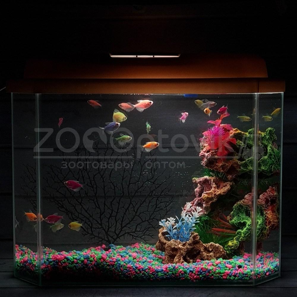 AquaGold Аквариум Aqua Glo панорама на 30л. день/ночь с рыбками тернеция GloFish Reff - фото 2 - id-p162488123
