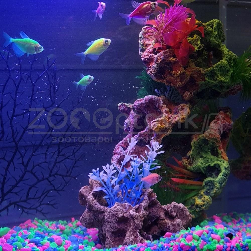 AquaGold Аквариум Aqua Glo панорама на 30л. день/ночь с рыбками тернеция GloFish Reff - фото 7 - id-p162488123