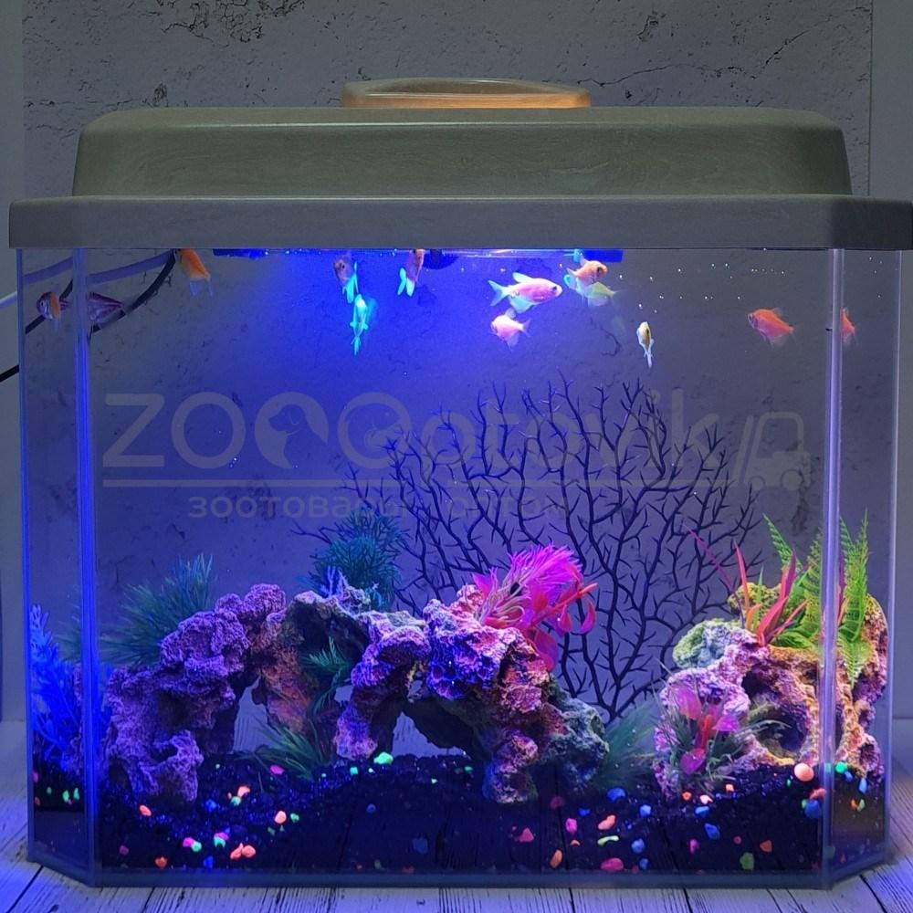 AquaGold Аквариум Aqua Glo панорама на 15л. день/ночь с рыбками тернеция GloFish