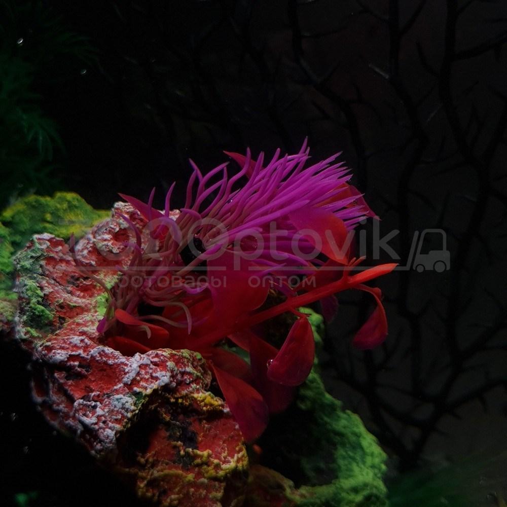 AquaGold Аквариум Aqua Glo панорама на 15л. день/ночь с рыбками тернеция GloFish - фото 6 - id-p162488124