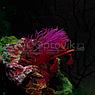 AquaGold Аквариум Aqua Glo панорама на 15л. день/ночь с рыбками тернеция GloFish, фото 6
