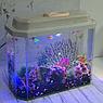 AquaGold Аквариум Aqua Glo панорама на 15л. день/ночь с рыбками тернеция GloFish, фото 10