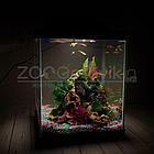 AQUA Аквариум Куб Aqua Glo на 20л. день/ночь с рыбками данио GloFish Reff, фото 9