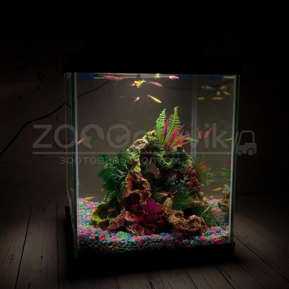 AQUA Аквариум Куб Aqua Glo на 20л. день/ночь с рыбками данио GloFish Reff - фото 9 - id-p162488159