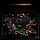 AquaGold Аквариум Aqua Glo прямоугольник на 10л. день/ночь с рыбками тернеция GloFish, фото 2