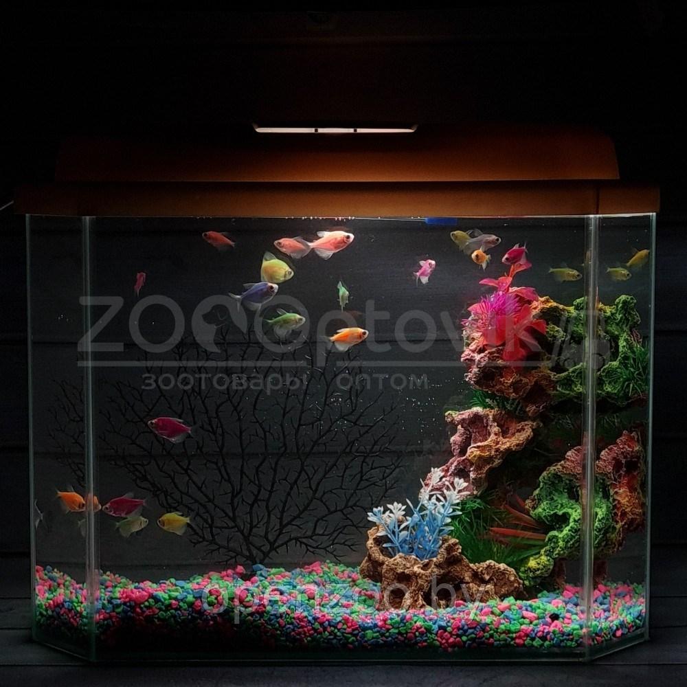 AquaGold Аквариум Aqua Glo панорама на 30л. день/ночь с рыбками тернеция GloFish Reff - фото 2 - id-p162488135