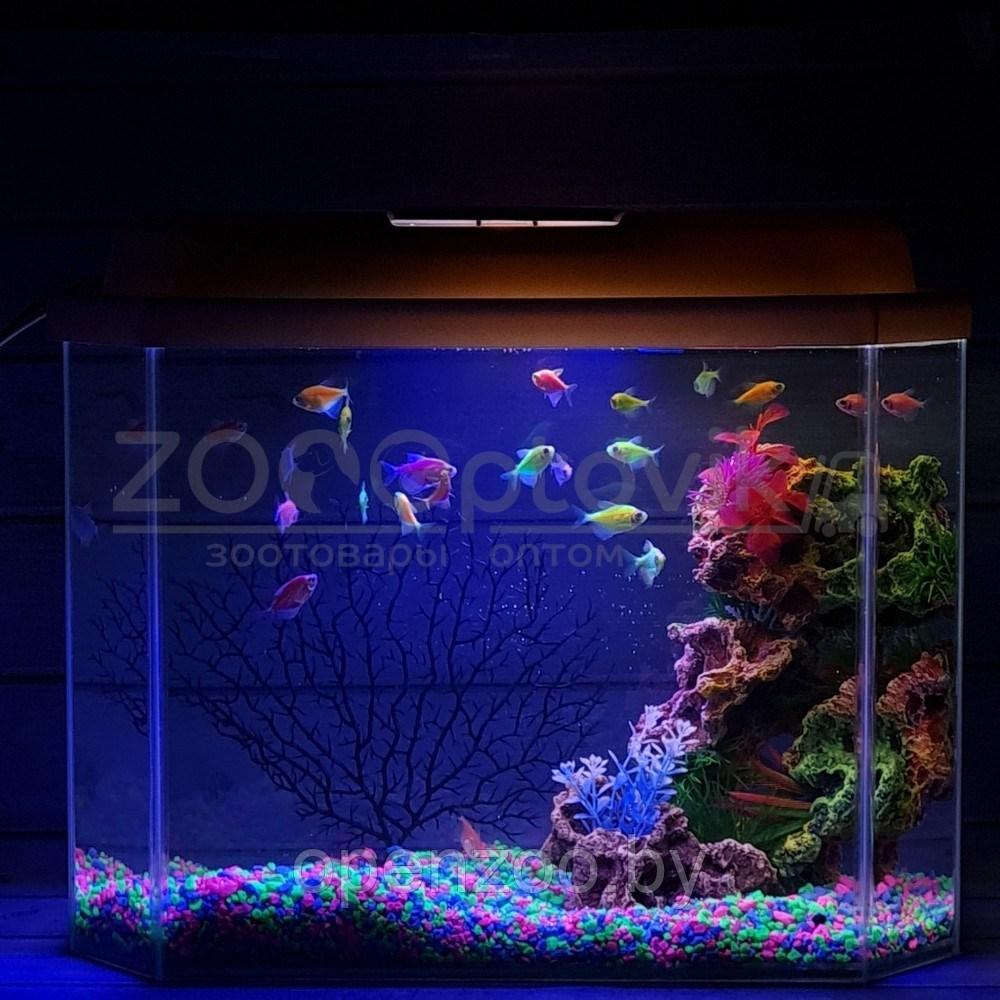 AquaGold Аквариум Aqua Glo панорама на 30л. день/ночь с рыбками тернеция GloFish Reff - фото 3 - id-p162488135