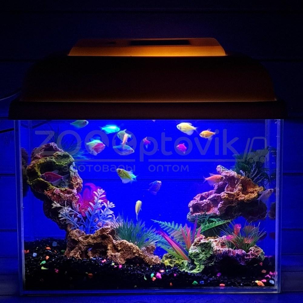 AquaGold Аквариум Aqua Glo прямоугольник на 10л. день/ночь с рыбками тернеция GloFish