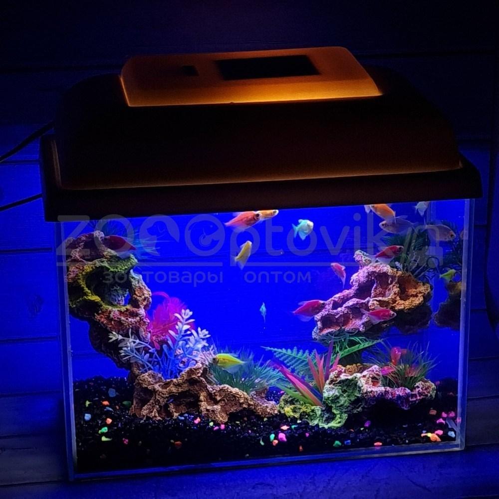 AquaGold Аквариум Aqua Glo прямоугольник на 10л. день/ночь с рыбками тернеция GloFish - фото 9 - id-p162488161