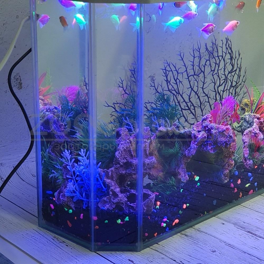 AquaGold Аквариум Aqua Glo панорама на 15л. день/ночь с рыбками тернеция GloFish - фото 7 - id-p162488163