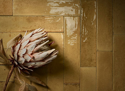 Мелкоформатная плитка MARAZZI RAGNO