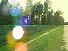 Сетка Tenax  Coveret  зеленая 1.8x15 m, фото 3