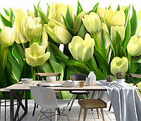 Фотообои Белые тюльпаны, фото 1