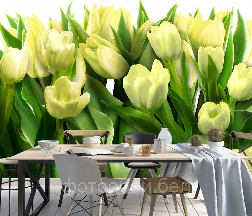 Фотообои Белые тюльпаны - фото 1 - id-p162540632