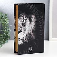 Сейф-книга дерево, кожзам "Лев. Through the eves of a lion" 21х13х5 см, фото 4