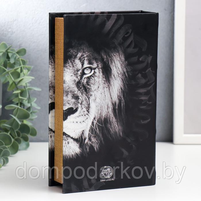 Сейф-книга дерево, кожзам "Лев. Through the eves of a lion" 21х13х5 см - фото 4 - id-p162541530