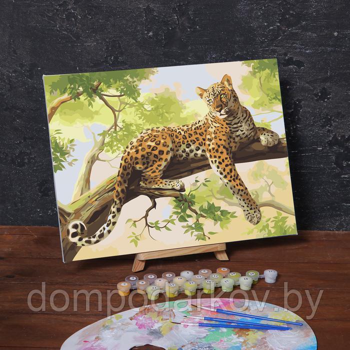 Картина по номерам на холсте с подрамником «Леопард», 40х30 см - фото 1 - id-p162541769