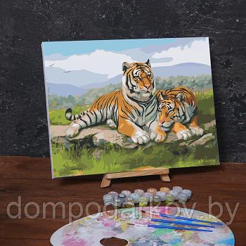 Картина по номерам на холсте с подрамником «Тигры в саванне», 40х30 см