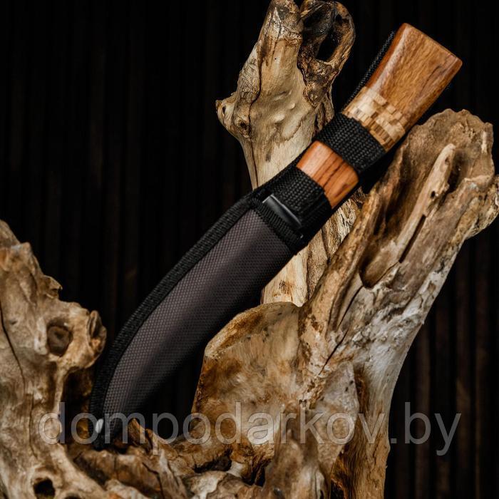 Нож охотничий "Барди" в чехле, лезвие 14 см, деревянная рукоять с пробковой вставкой - фото 4 - id-p162604378