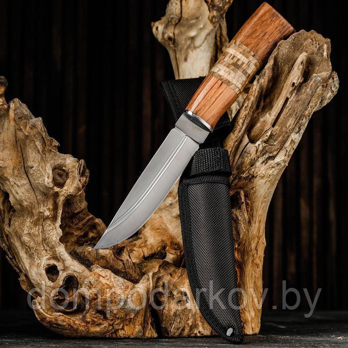 Нож охотничий "Барди" в чехле, лезвие 14 см, деревянная рукоять с пробковой вставкой - фото 1 - id-p162604378