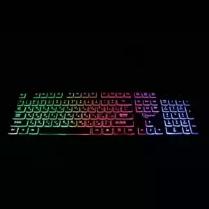 Проводная клавиатура с подсветкой Gembird KB-250L - фото 2 - id-p162636149