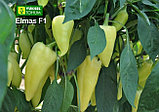Перец Элмас F1, семена, 100шт., Турция, (чп), фото 3