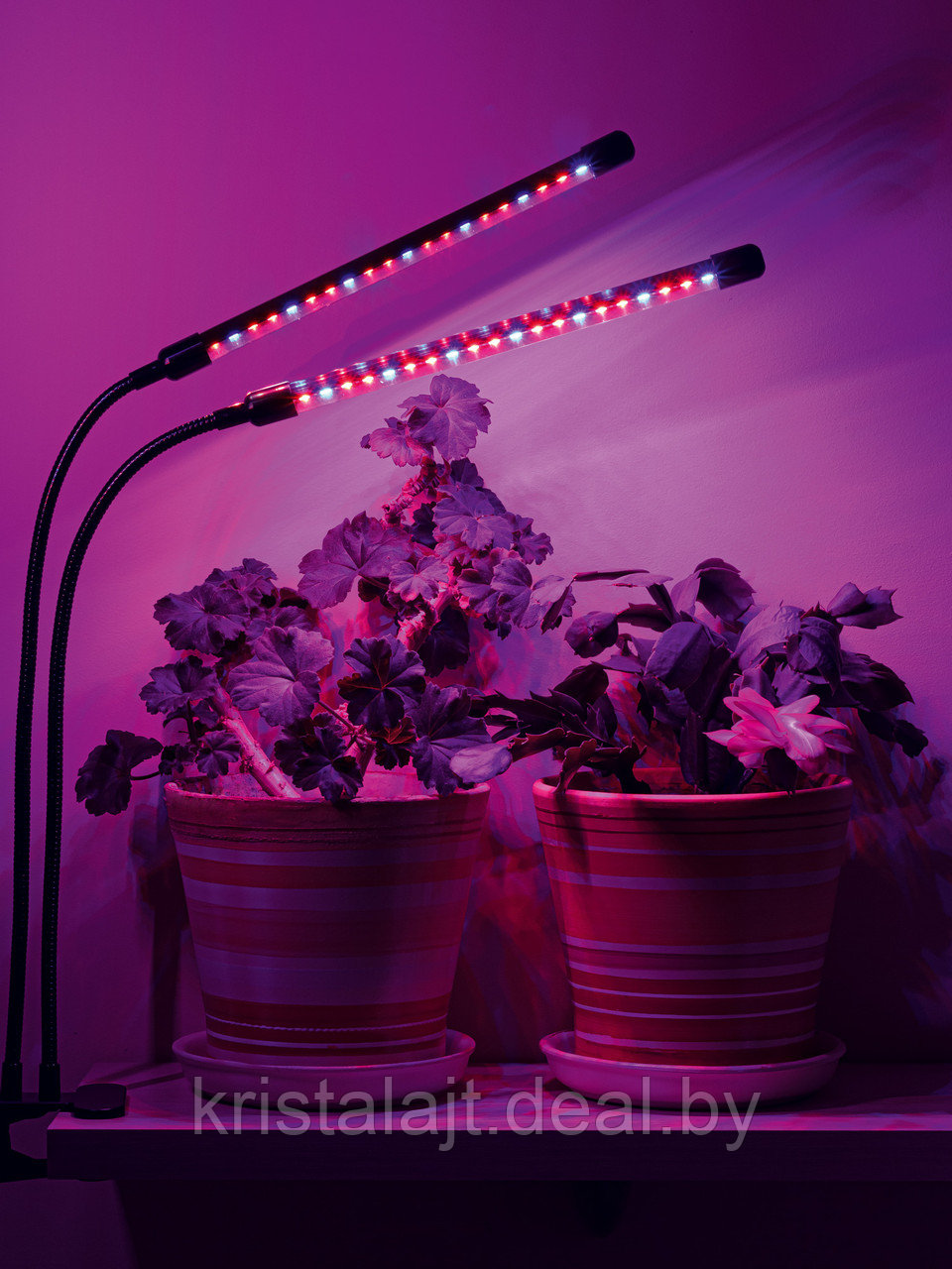 Светильник для растений TL-FC03S1W, ArtStyle, белый - фото 2 - id-p162819796