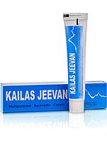 Аюрведическая мазь Кайлаш Дживан KAILAS JEEVAN 20 гр Индия