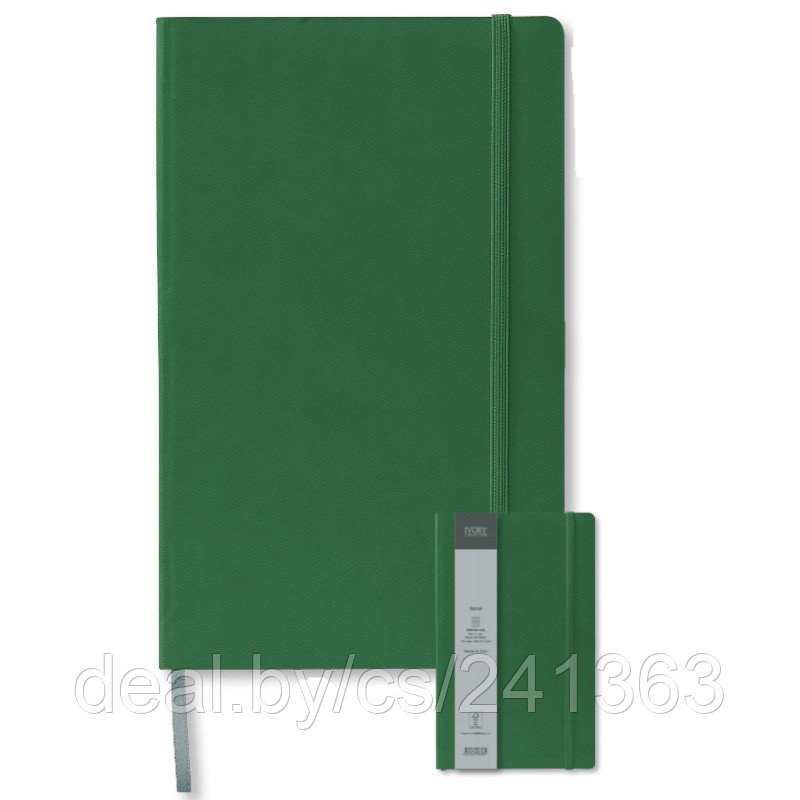 Записная книга IVORY в линейку 13х21 TUCSON зелёный
