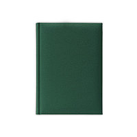 Ежедневник полудатированный A6, V59, PLAZA, тёмно-зелёный, фото 1