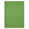Ежедневник датированный 14,5х20,5 см CAYENNE FLEX светло-зелёный