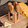 Набор ножей для подачи сыра, 4 шт, на магнитной подставке, бразильская гевея, 8,5х8,5х16,7 см, цвет бежевый, фото 3