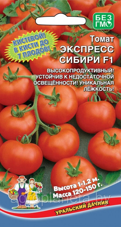 Томат ЭКСПРЕСС СИБИРИ F1, 12 шт.