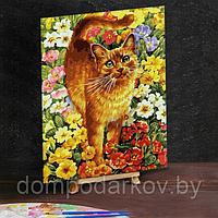Картина по номерам на холсте 30×40 см «Кот на лужайке»