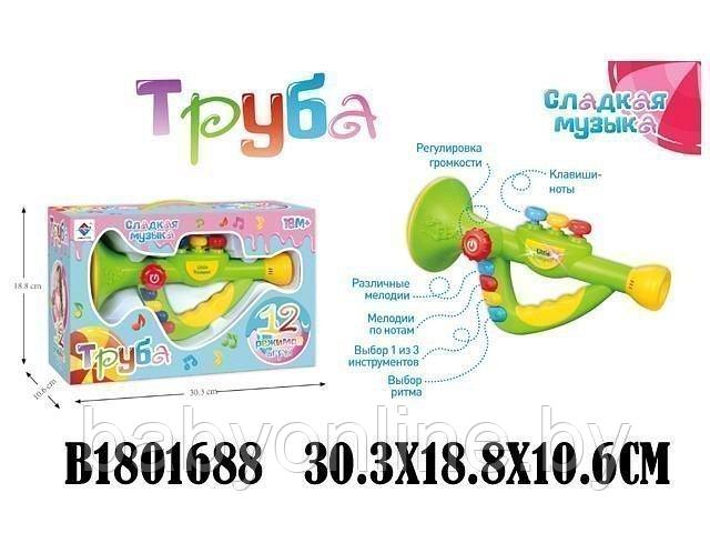 Развивающая игрушка Дудочка музыкальная арт 2866E - фото 1 - id-p163372064