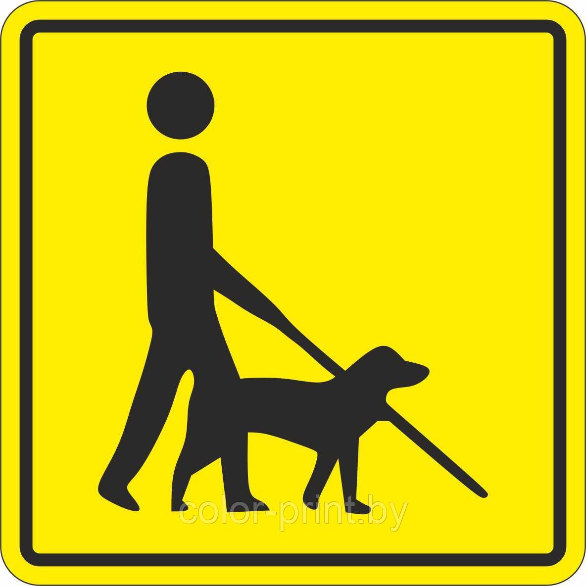 Тактильный знак пиктограмма "Место для собаки поводыря"