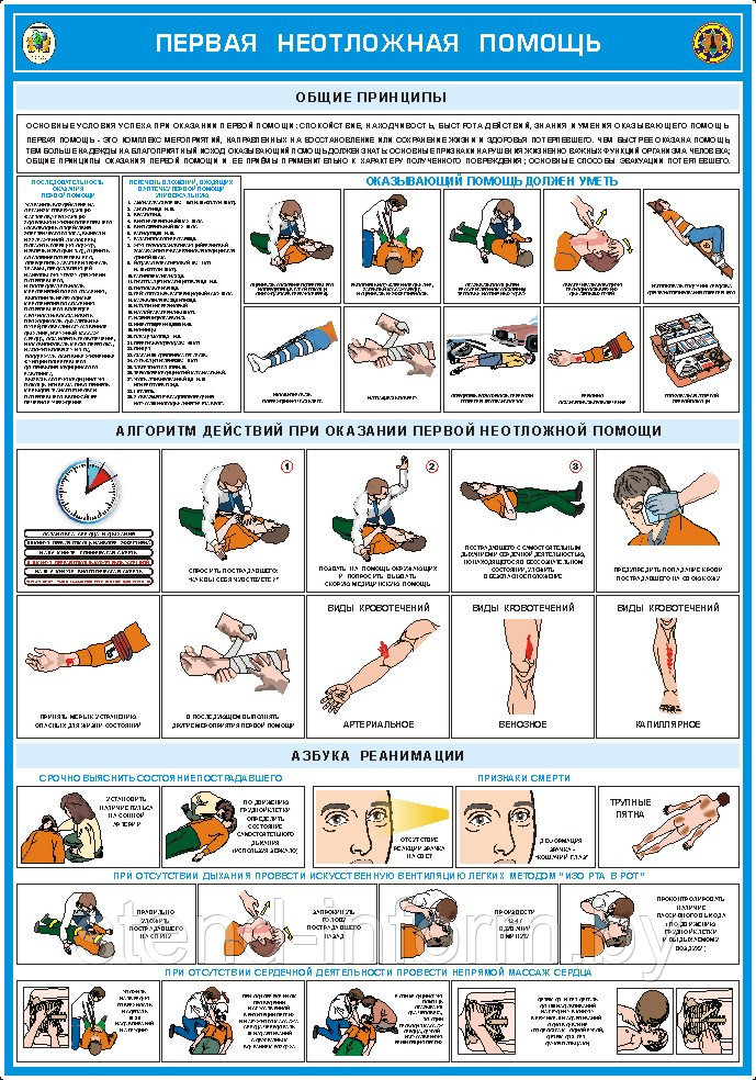 Плакат на ПВХ 3 мм " Первая неотложная помощь азбука реанимации" №7 р-р 40*57 см - фото 1 - id-p163543246