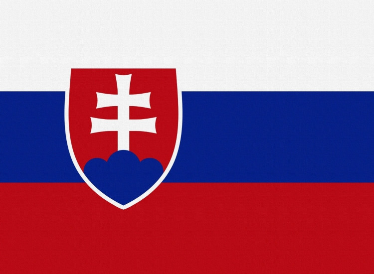 Флаг Словакии (80х130) - фото 1 - id-p163494311