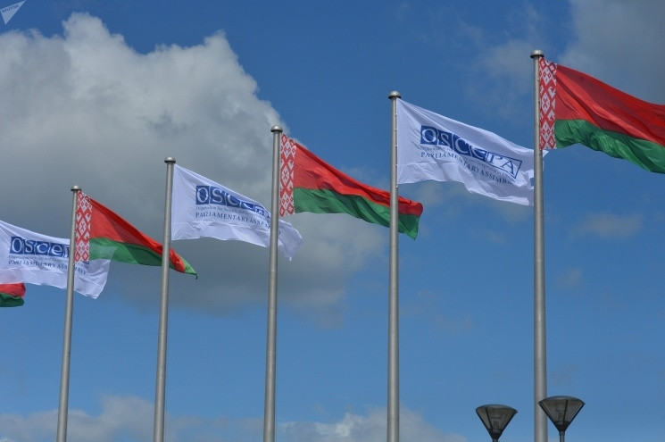 Флаг Республики Беларусь, флажная сетка (100х200 см) - фото 2 - id-p163494929