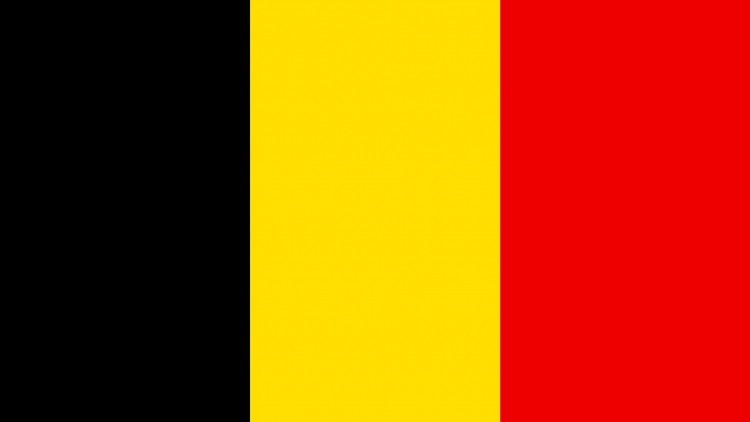 Флаг Королевства Бельгии (размер 75х150) - фото 1 - id-p163495351