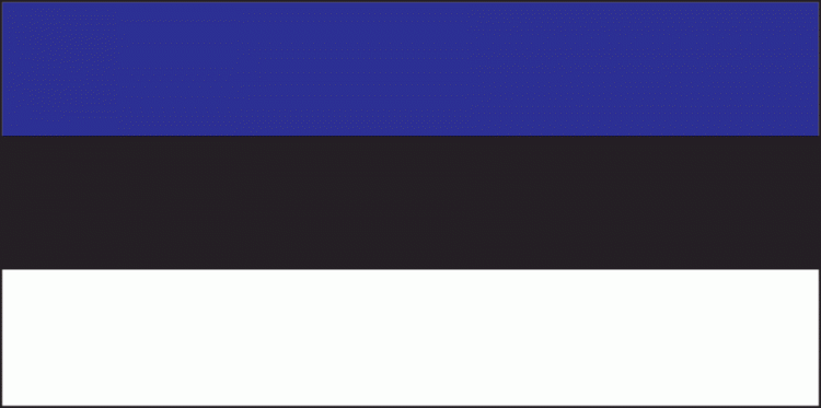 Флаг Эстонии (размер 100х200) - фото 1 - id-p163495375