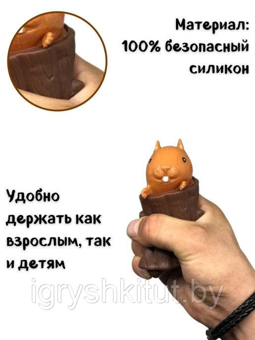 Белка антистресс "Фуфлик", белка из ТикТок - фото 3 - id-p163582590