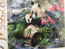 Алмазная картина размер 50*40 панды