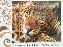 Алмазная картина размер 50*40 леопард