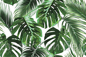 Фотообои Тропические листья 2